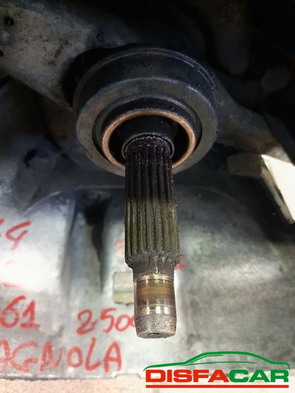 Cambio usato Fiat CAMPAGNOLA 1987, codice 8142.61 – foto 2 di 8