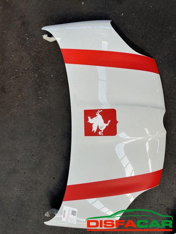 Lamierati usati Fiat New Panda 0.9 Turbo TwinAir 4x4 (MANCA FARO DX E Sx VENDUTO E PARAURTI POSTERIORE) – foto 4 di 19