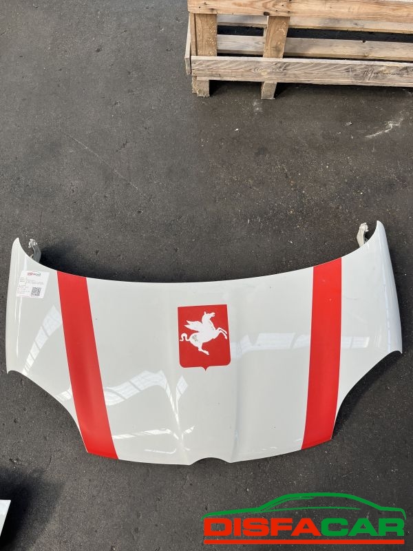 Lamierati usati Fiat New Panda 0.9 Turbo TwinAir 4x4 (MANCA FARO DX E Sx VENDUTO E PARAURTI POSTERIORE) – foto 5 di 19