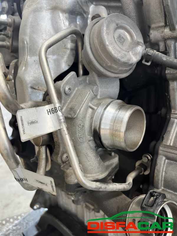 MOTORE usato Ford Puma 2019 - Ricambio originale garantito