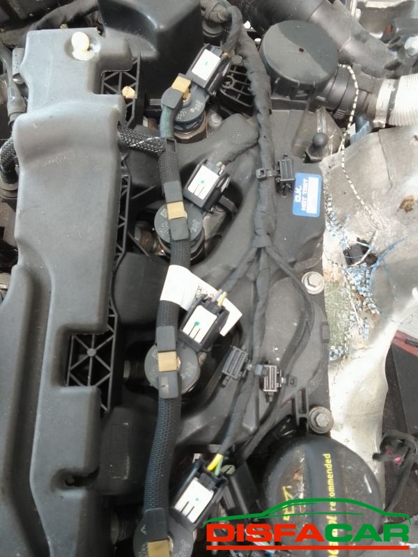 MOTORE usato Ford EcoSport 2019 - Ricambio originale garantito