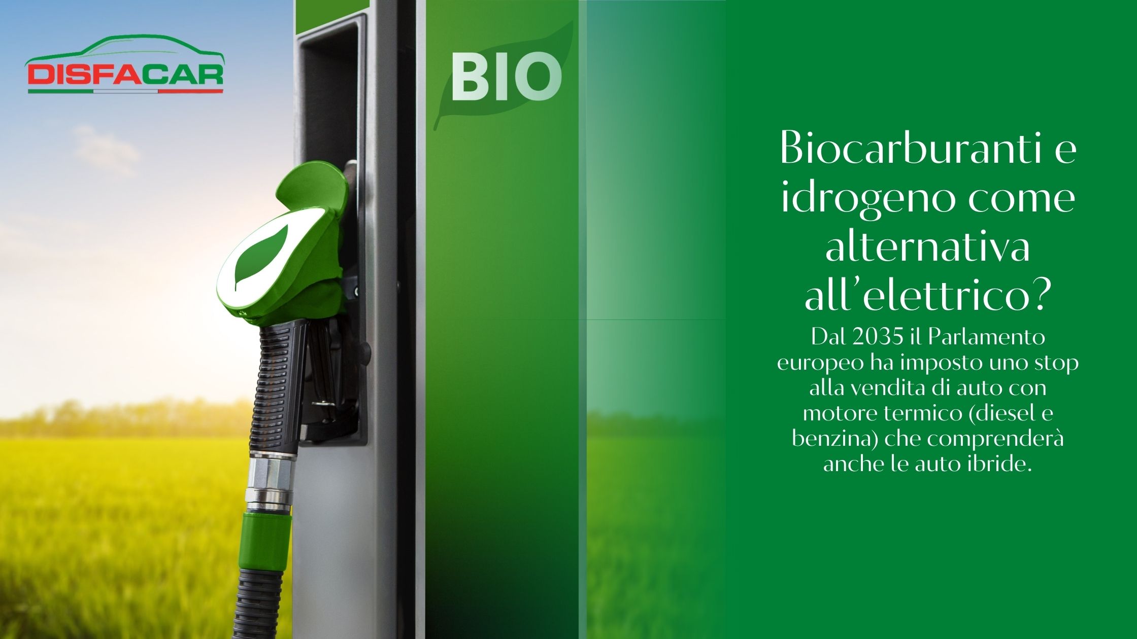 biocarburanti e idrogeno alternativa all'elettrico